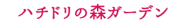 ハチドリの森ガーデン