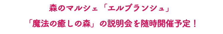 森のマルシェ「エルブランシュ」 「魔法の癒しの森」の説明会を随時開催予定！