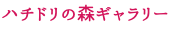 ハチドリの森ギャラリー