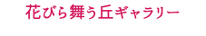 花びら舞う丘ギャラリー