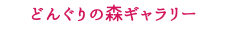 どんぐりの森ギャラリー