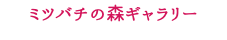 ミツバチの森ギャラリー