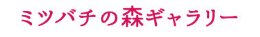 ミツバチの森ギャラリー