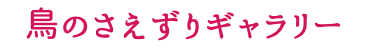 鳥のさえずりギャラリー