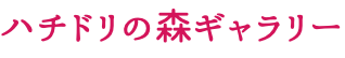 ハチドリの森ギャラリー