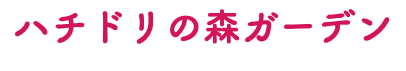 ハチドリの森ガーデン