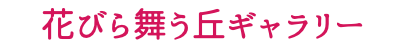 花びら舞う丘ギャラリー