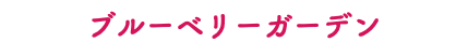 ブルーベリーガーデン