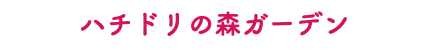 ハチドリの森ガーデン
