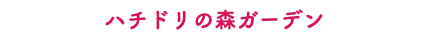 ハチドリの森ガーデン