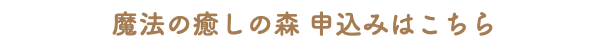 魔法の癒しの森 申込みはこちら