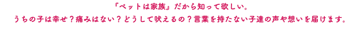 『ペットは家族』だから知って欲しい。 うちの子は幸せ？痛みはない？どうして吠えるの？言葉を持たない子達の声や想いを届けます。