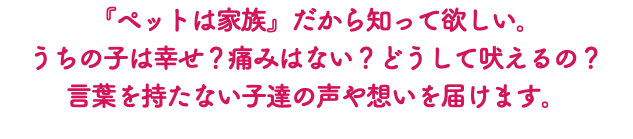 『ペットは家族』だから知って欲しい。 うちの子は幸せ？痛みはない？どうして吠えるの？ 言葉を持たない子達の声や想いを届けます。