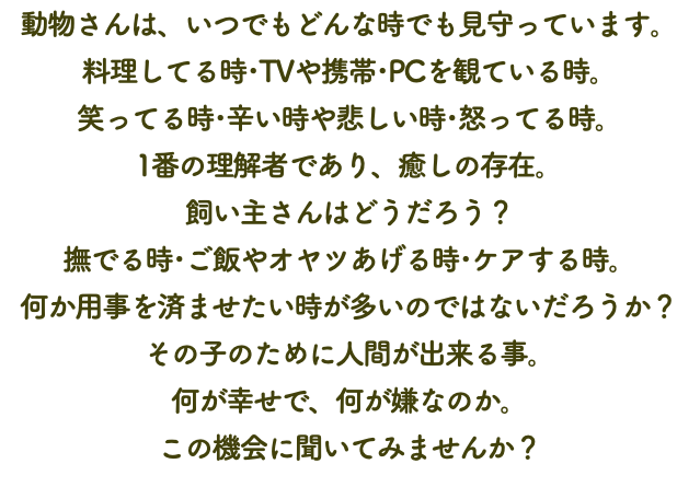 動物さんは、いつでもどんな時でも見守っています。 料理してる時･TVや携帯･PCを観ている時。 笑ってる時･辛い時や悲しい時･怒ってる時。 1番の理解者であり、癒しの存在。 飼い主さんはどうだろう？ 撫でる時･ご飯やオヤツあげる時･ケアする時。 何か用事を済ませたい時が多いのではないだろうか？ その子のために人間が出来る事。 何が幸せで、何が嫌なのか。 この機会に聞いてみませんか？