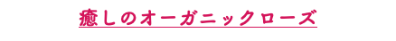 癒しのオーガニックローズ
