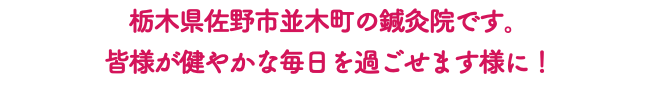 栃木県佐野市並木町の鍼灸院です。 皆様が健やかな毎日を過ごせます様に！