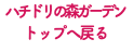 ハチドリの森ガーデン トップへ戻る