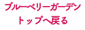 ブルーベリーガーデン トップへ戻る