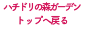 ハチドリの森ガーデン トップへ戻る