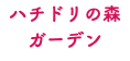 ハチドリの森 ガーデン