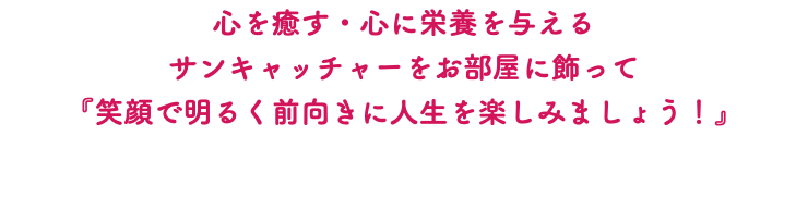 心を癒す・心に栄養を与える サンキャッチャーをお部屋に飾って 『笑顔で明るく前向きに人生を楽しみましょう！』