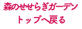 森のせせらぎガーデン トップへ戻る