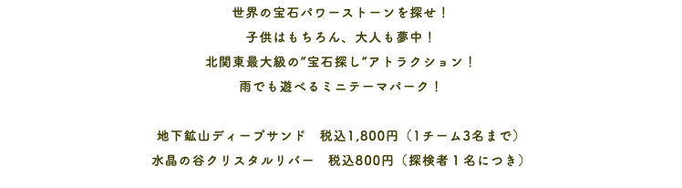世界の宝石パワーストーンを探せ！ 子供はもちろん、大人も夢中！ 北関東最大級の”宝石探し”アトラクション！ 雨でも遊べるミニテーマパーク！ 地下鉱山ディープサンド　税込1,800円（1チーム3名まで） 水晶の谷クリスタルリバー　税込800円（探検者１名につき）
