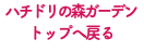 ハチドリの森ガーデン トップへ戻る