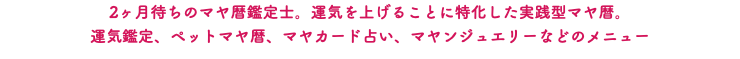 2ヶ月待ちのマヤ暦鑑定士。運気を上げることに特化した実践型マヤ暦。 運気鑑定、ペットマヤ暦、マヤカード占い、マヤンジュエリーなどのメニュー