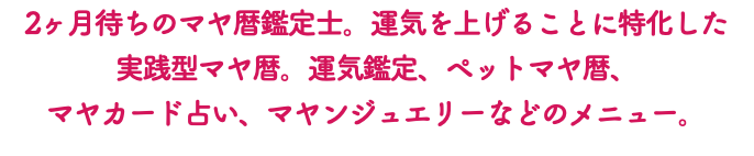 2ヶ月待ちのマヤ暦鑑定士。運気を上げることに特化した 実践型マヤ暦。運気鑑定、ペットマヤ暦、 マヤカード占い、マヤンジュエリーなどのメニュー。