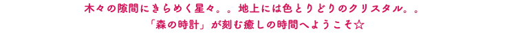 木々の隙間にきらめく星々。。地上には色とりどりのクリスタル。。 「森の時計」が刻む癒しの時間へようこそ☆