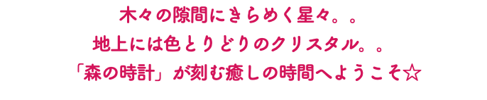 木々の隙間にきらめく星々。。 地上には色とりどりのクリスタル。。 「森の時計」が刻む癒しの時間へようこそ☆