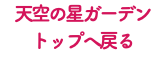天空の星ガーデン トップへ戻る