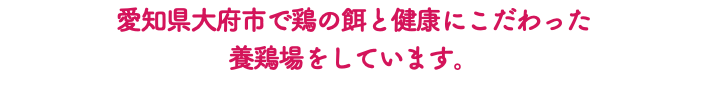 愛知県大府市で鶏の餌と健康にこだわった 養鶏場をしています。