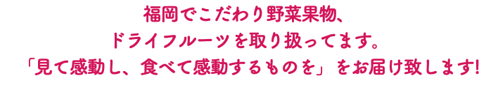 福岡でこだわり野菜果物、 ドライフルーツを取り扱ってます。 「見て感動し、食べて感動するものを」をお届け致します!