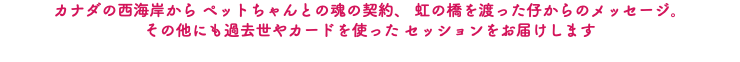 カナダの西海岸から ペットちゃんとの魂の契約、 虹の橋を渡った仔からのメッセージ。 その他にも過去世やカードを使った セッションをお届けします