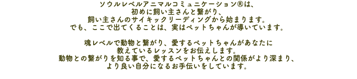 ソウルレベルアニマルコミュニケーション®は、 初めに飼い主さんと繋がり、 飼い主さんのサイキックリーディングから始まります。 でも、ここで出てくることは、実はペットちゃんが導いています。 魂レベルで動物と繋がり、愛するペットちゃんがあなたに 教えているレッスンをお伝えします。 動物との繋がりを知る事で、愛するペットちゃんとの関係がより深まり、 より良い自分になるお手伝いをしています。