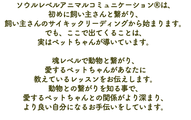 ソウルレベルアニマルコミュニケーション®は、 初めに飼い主さんと繋がり、 飼い主さんのサイキックリーディングから始まります。 でも、ここで出てくることは、 実はペットちゃんが導いています。 魂レベルで動物と繋がり、 愛するペットちゃんがあなたに 教えているレッスンをお伝えします。 動物との繋がりを知る事で、 愛するペットちゃんとの関係がより深まり、 より良い自分になるお手伝いをしています。