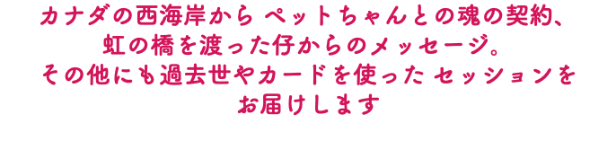 カナダの西海岸から ペットちゃんとの魂の契約、 虹の橋を渡った仔からのメッセージ。 その他にも過去世やカードを使った セッションを お届けします