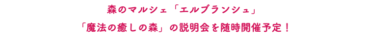 森のマルシェ「エルブランシュ」 「魔法の癒しの森」の説明会を随時開催予定！